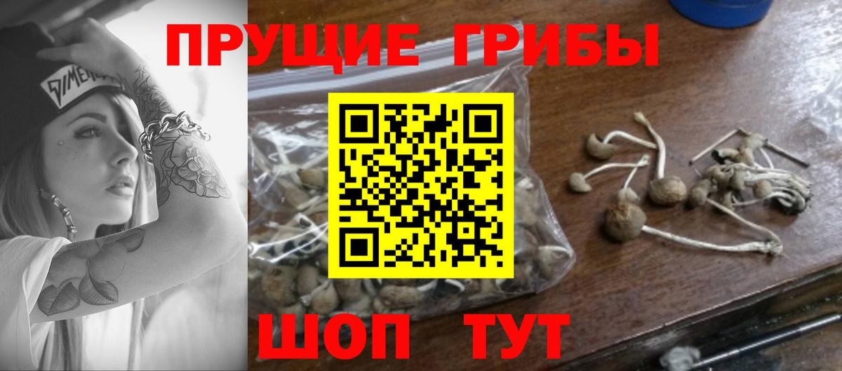 Псилоцибиновые грибы Magic Shrooms Добрянка