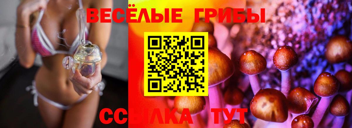 Псилоцибиновые грибы Magic Shrooms  Вход с VPN  Добрянка 
